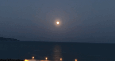 【疑う力・創る力】（岡田 豊）日本自立へ千載一遇のチャンス　米国と同盟国の関係変質