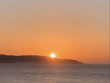 【疑う力・創る力】（岡田 豊）「みんな、口をつぐみ始めた」言論の自由の危機に瀕する米国