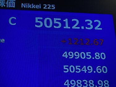 【疑う力・創る力】日経平均５万円の憂鬱　日本衰退とのギャップのなぜ　（岡田 豊）